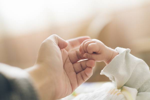 Quelle: hallohuahua – istockphoto.com, istockphoto.com, hallohuahua – istockphoto.com, 1063148786